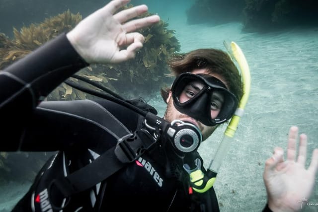 Try Scuba Diving - Photo 1 of 6